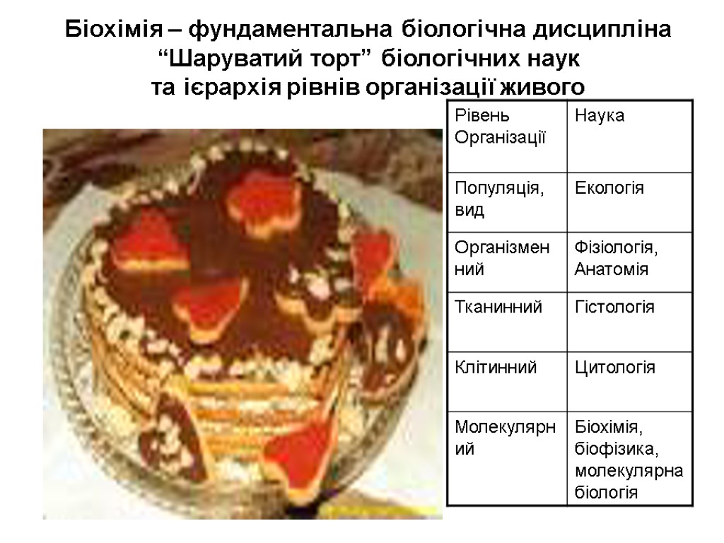 Біохімія – фундаментальна біологічна дисципліна “Шаруватий торт” біологічних наук та ієрархія рівнів організації живого